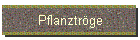 Pflanztrge