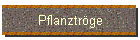 Pflanztrge